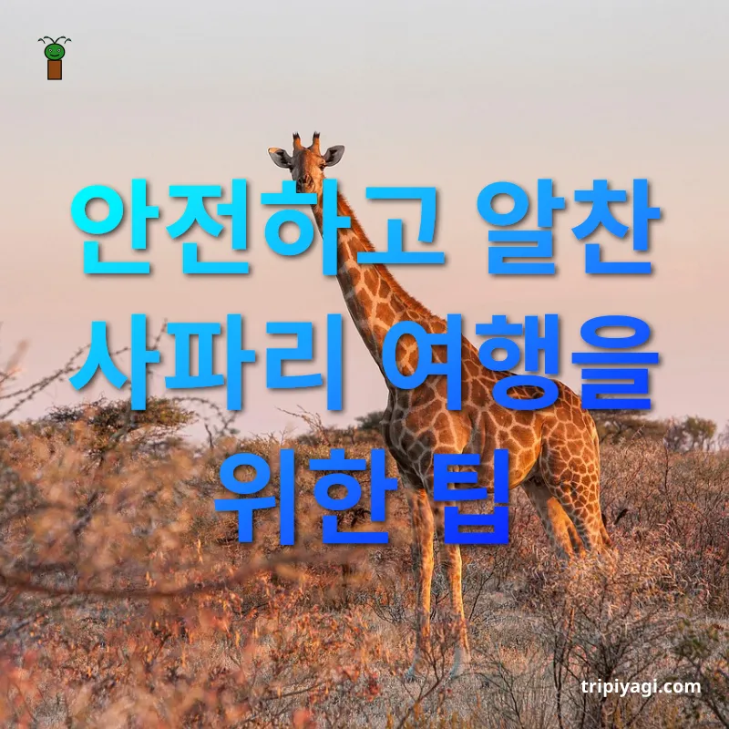 아프리카 사파리 여행 안전하고 알찬 사파리 여행을 위한 팁 관련 이미지
