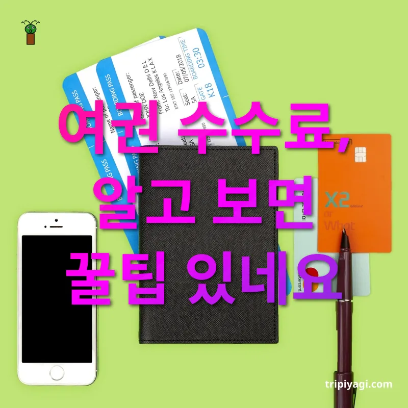 여권 발급과 관리 - 여권 수수료, 알고 보면 꿀팁 있네요 여권 발급과 관리 여권 수수료, 알고 보면 꿀팁 있네요 관련 이미지