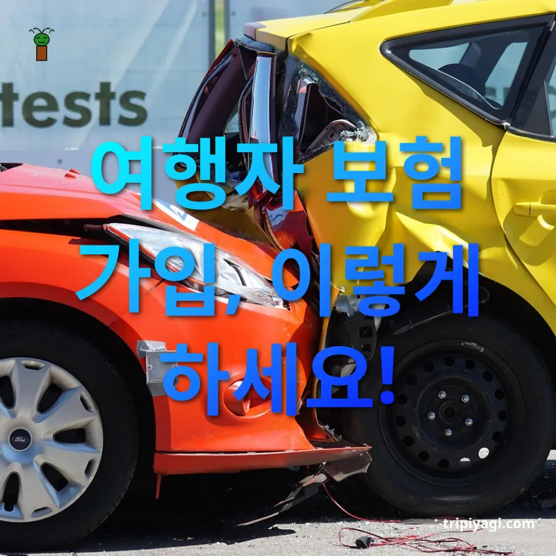 여행자 보험 여행자 보험 가입, 이렇게 하세요! 관련 이미지