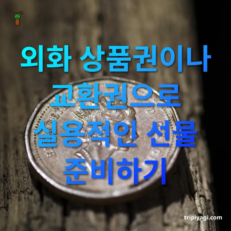 남은 외화 활용법 외화 상품권이나 교환권으로 실용적인 선물 준비하기 관련 이미지