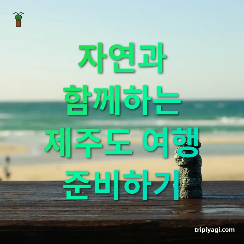 제주 힐링 여행 자연과 함께하는 제주도 여행 준비하기 관련 이미지