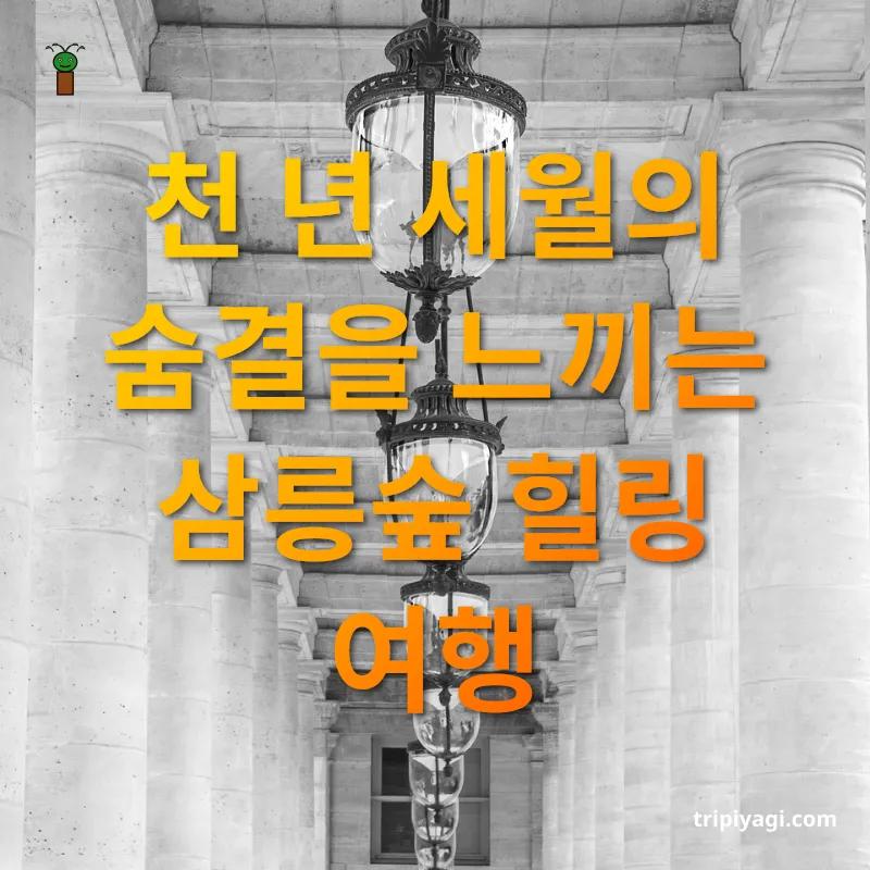신라 왕릉 답사 천 년 세월의 숨결을 느끼는 삼릉숲 힐링 여행 관련 이미지