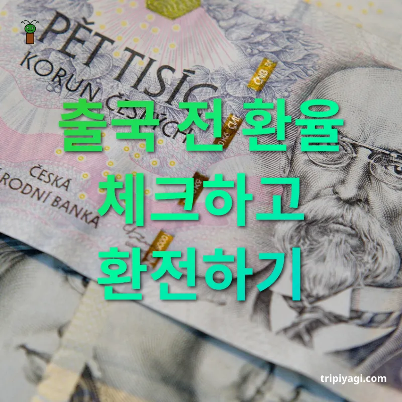 해외여행 환전 꿀팁 출국 전 환율 체크하고 환전하기 관련 이미지