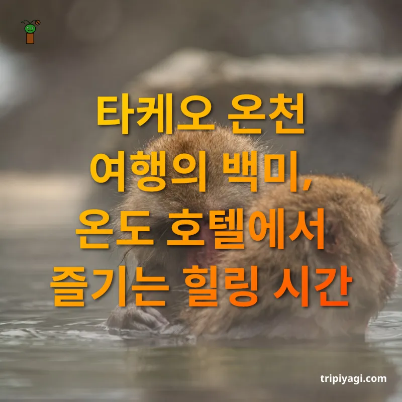 일본 온천 여행 - 타케오 온천 여행의 백미, 온도 호텔에서 즐기는 힐링 시간 일본 온천 여행 타케오 온천 여행의 백미, 온도 호텔에서 즐기는 힐링 시간 관련 이미지