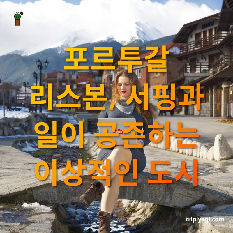 디지털 노마드 - 포르투갈 리스본, 서핑과 일이 공존하는 이상적인 도시 디지털 노마드 포르투갈 리스본, 서핑과 일이 공존하는 이상적인 도시 관련 이미지