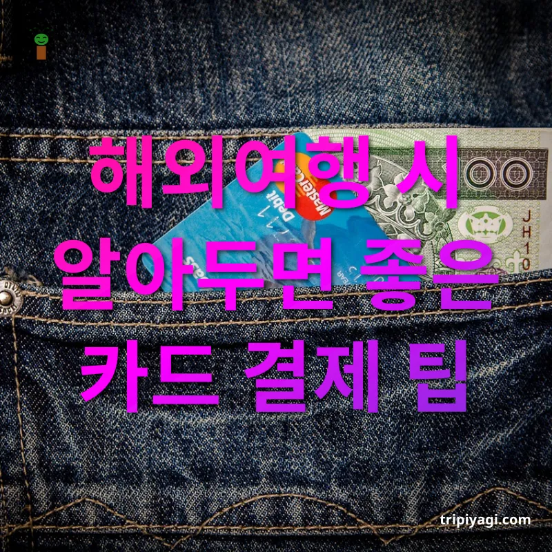 해외 카드 결제 수수료 - 해외여행 시 알아두면 좋은 카드 결제 팁 해외 카드 결제 수수료 해외여행 시 알아두면 좋은 카드 결제 팁 관련 이미지