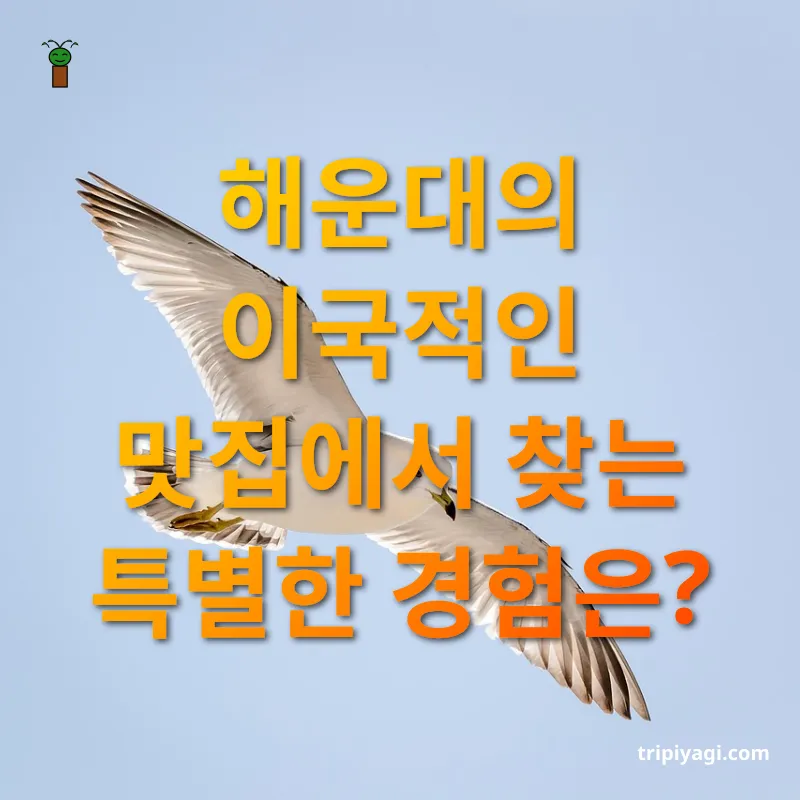 부산 해운대 맛집 - 해운대의 이국적인 맛집에서 찾는 특별한 경험은? 부산 해운대 맛집 해운대의 이국적인 맛집에서 찾는 특별한 경험은? 관련 이미지
