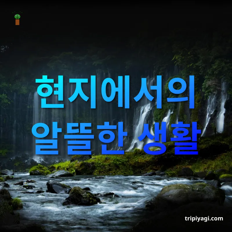 해외여행 경비 절약 - 현지에서의 알뜰한 생활 해외여행 경비 절약 현지에서의 알뜰한 생활 관련 이미지