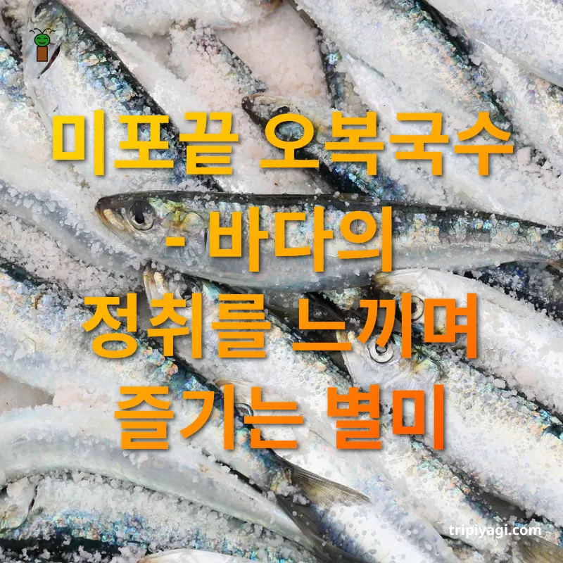 지역 맛집 탐험 미포끝 오복국수 - 바다의 정취를 느끼며 즐기는 별미 관련 이미지