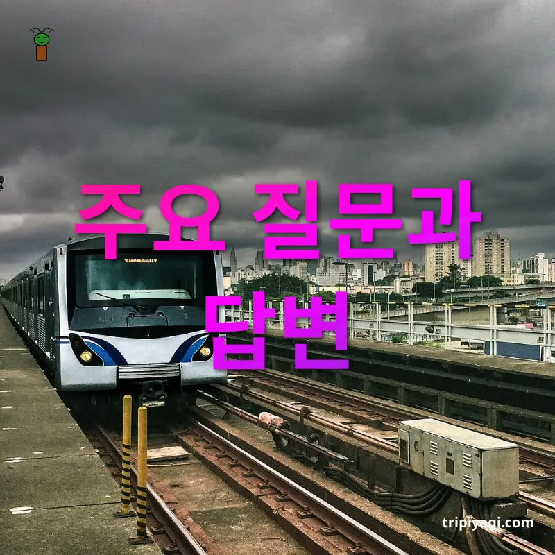 지속 가능한 여행 - 주요 질문과 답변 지속 가능한 여행 주요 질문과 답변 관련 이미지