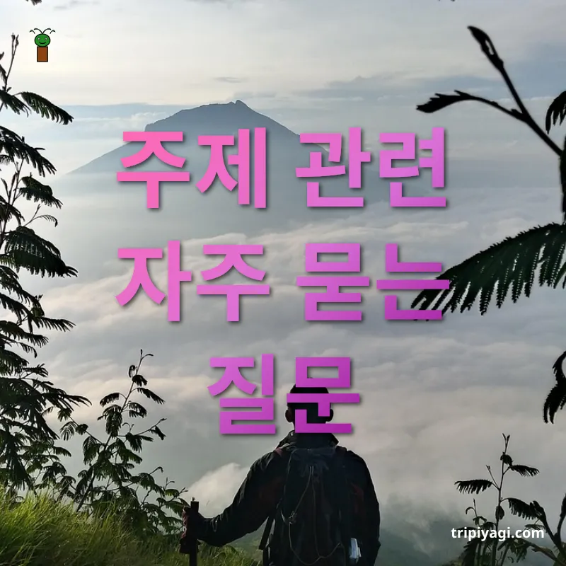 혼자여행의 매력 주제 관련 자주 묻는 질문 관련 이미지
