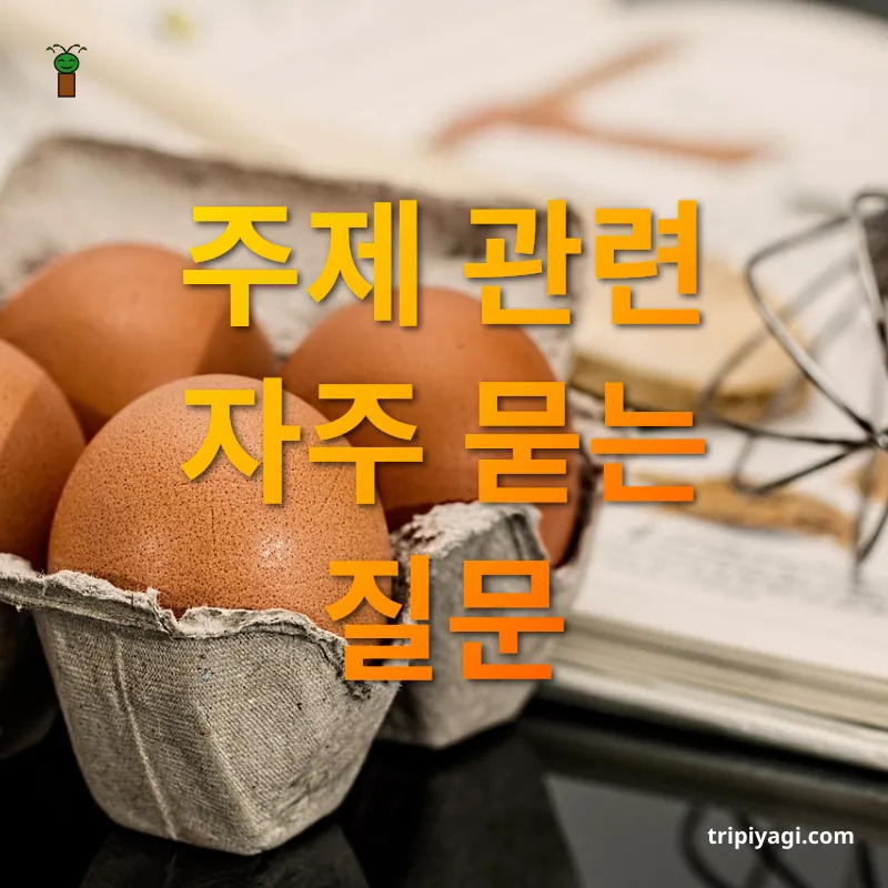 세계 미식 여행 주제 관련 자주 묻는 질문 관련 이미지