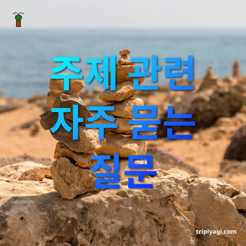 신라 왕릉 답사 주제 관련 자주 묻는 질문 관련 이미지