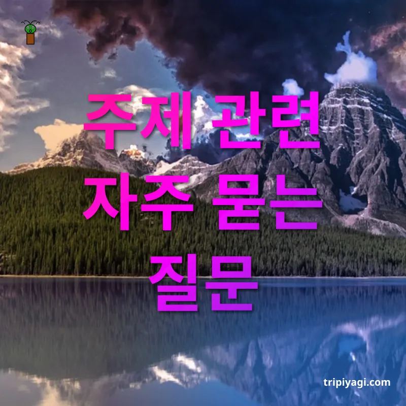 야경 여행 주제 관련 자주 묻는 질문 관련 이미지