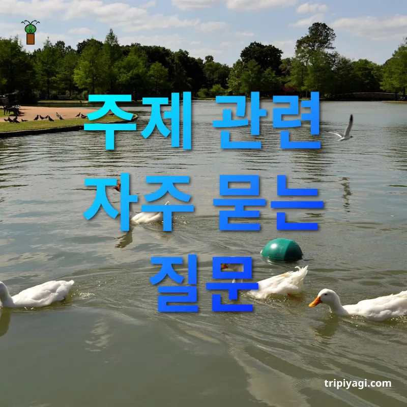 반려동물 동반여행 주제 관련 자주 묻는 질문 관련 이미지