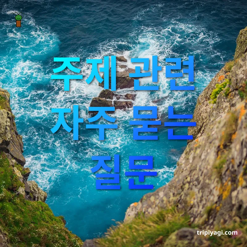 전국 맛집 탐방 주제 관련 자주 묻는 질문 관련 이미지