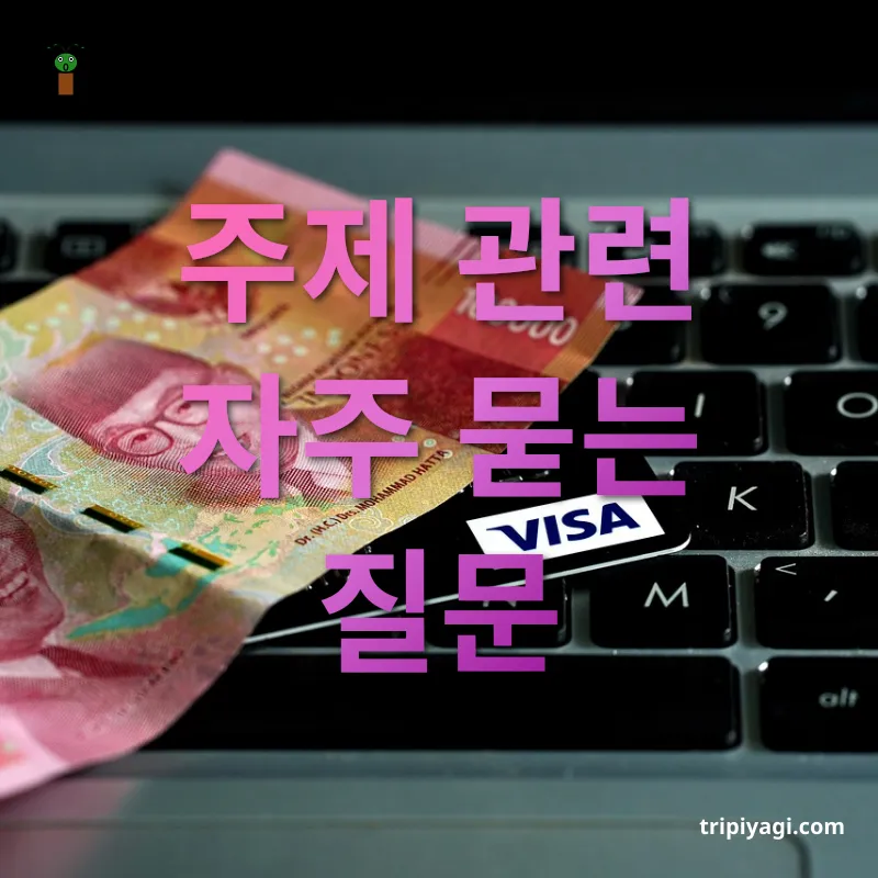 중국비자 발급 주제 관련 자주 묻는 질문 관련 이미지