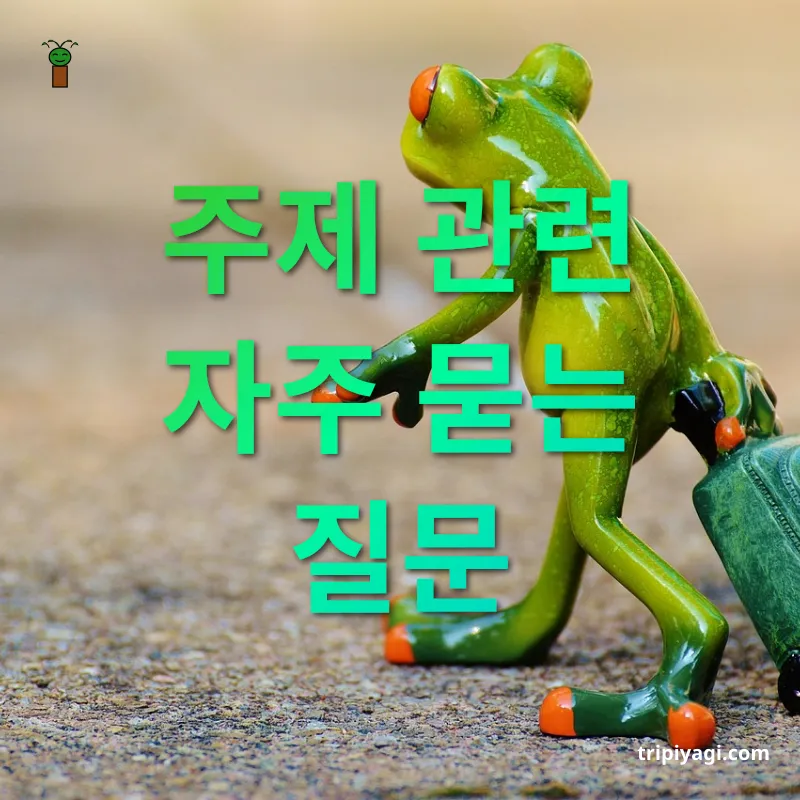 해외여행 경비 절약 - 주제 관련 자주 묻는 질문 해외여행 경비 절약 주제 관련 자주 묻는 질문 관련 이미지