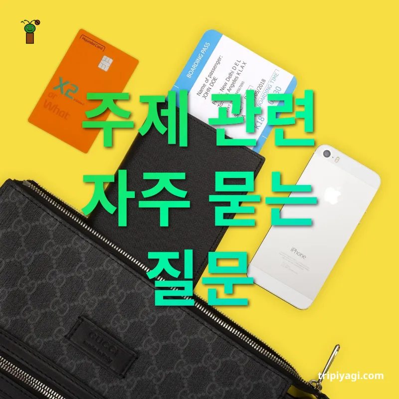 여권 발급과 관리 - 주제 관련 자주 묻는 질문 여권 발급과 관리 주제 관련 자주 묻는 질문 관련 이미지