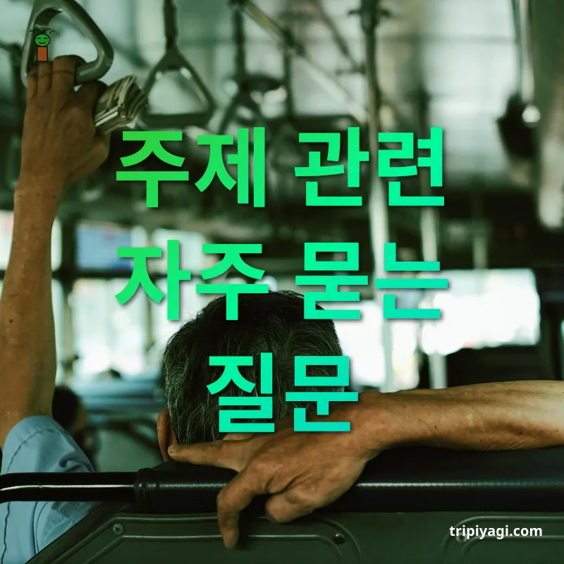 베트남 여행 - 주제 관련 자주 묻는 질문 베트남 여행 주제 관련 자주 묻는 질문 관련 이미지