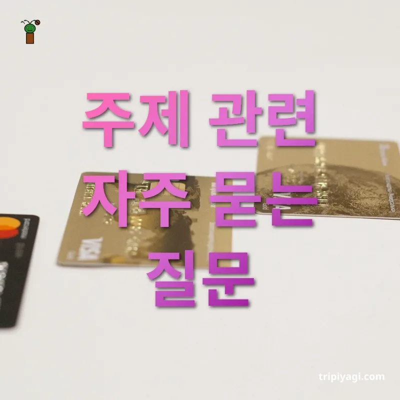 해외 카드 결제 수수료 - 주제 관련 자주 묻는 질문 해외 카드 결제 수수료 주제 관련 자주 묻는 질문 관련 이미지