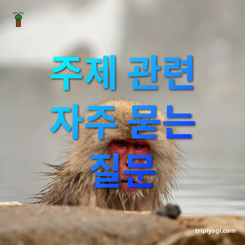 일본 온천 여행 - 주제 관련 자주 묻는 질문 일본 온천 여행 주제 관련 자주 묻는 질문 관련 이미지
