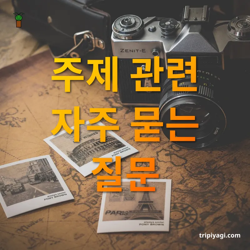 휴양 및 여행 스타일 변화 - 주제 관련 자주 묻는 질문 휴양 및 여행 스타일 변화 주제 관련 자주 묻는 질문 관련 이미지