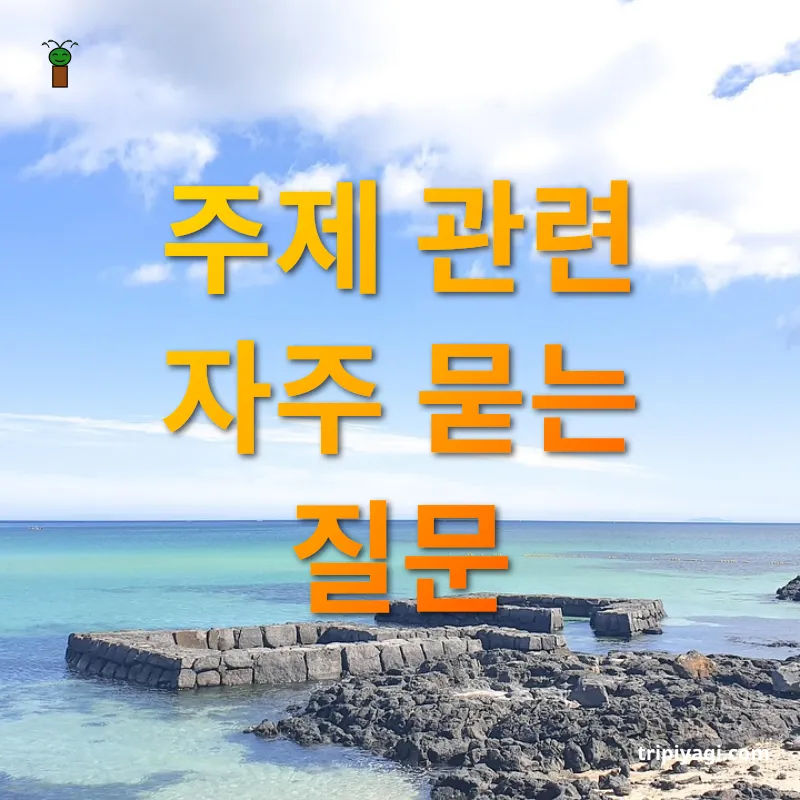 제주 힐링 여행 주제 관련 자주 묻는 질문 관련 이미지