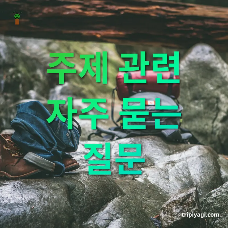 여행 브이로그 촬영 장비 - 주제 관련 자주 묻는 질문 여행 브이로그 촬영 장비 주제 관련 자주 묻는 질문 관련 이미지