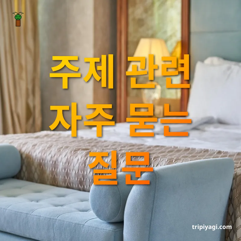 가성비 최고 호텔 - 주제 관련 자주 묻는 질문 가성비 최고 호텔 주제 관련 자주 묻는 질문 관련 이미지
