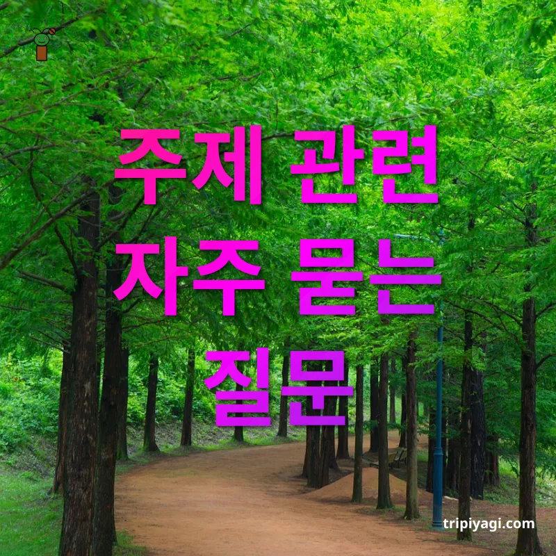 힐링 여행 주제 관련 자주 묻는 질문 관련 이미지