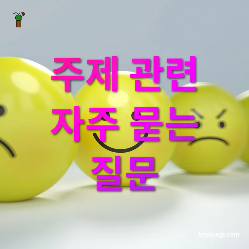 영어 회화 표현 - 주제 관련 자주 묻는 질문 영어 회화 표현 주제 관련 자주 묻는 질문 관련 이미지