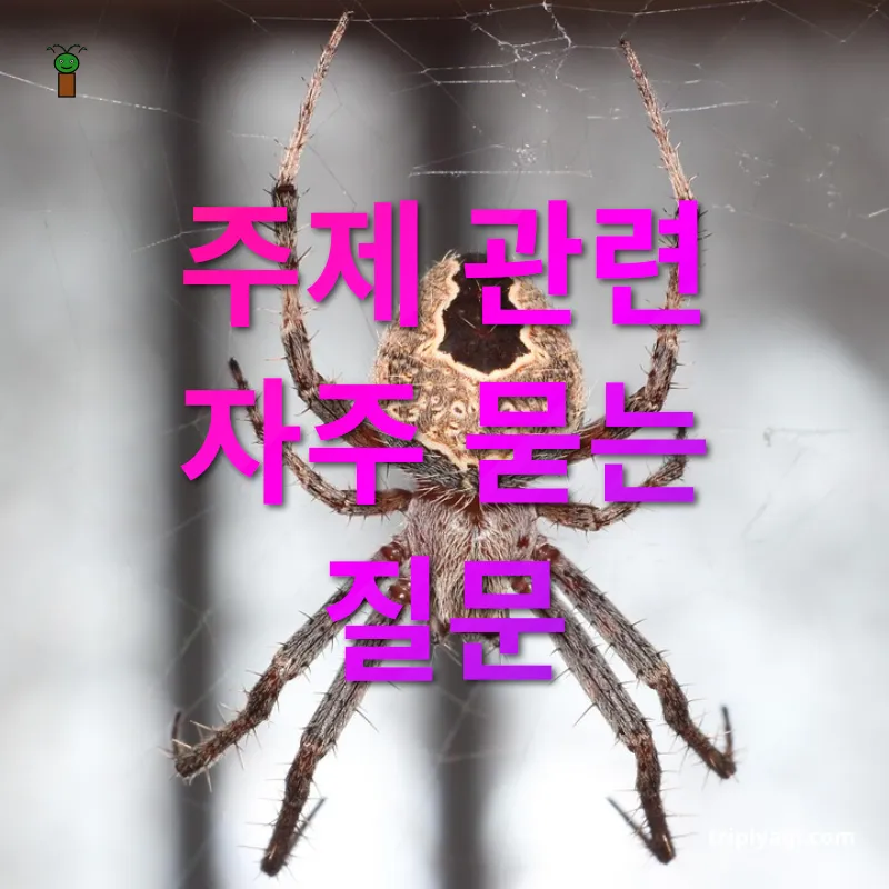 현지인처럼 여행하기 - 주제 관련 자주 묻는 질문 현지인처럼 여행하기 주제 관련 자주 묻는 질문 관련 이미지