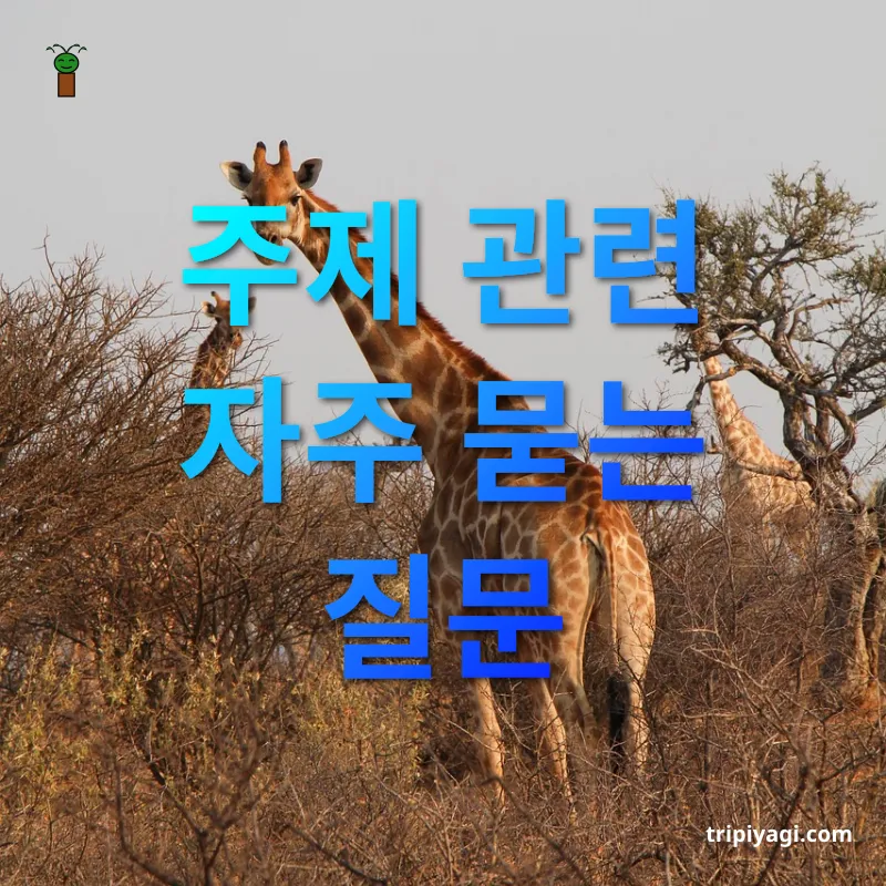 아프리카 사파리 여행 주제 관련 자주 묻는 질문 관련 이미지
