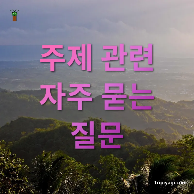 필리핀 세부 여행 - 주제 관련 자주 묻는 질문 필리핀 세부 여행 주제 관련 자주 묻는 질문 관련 이미지