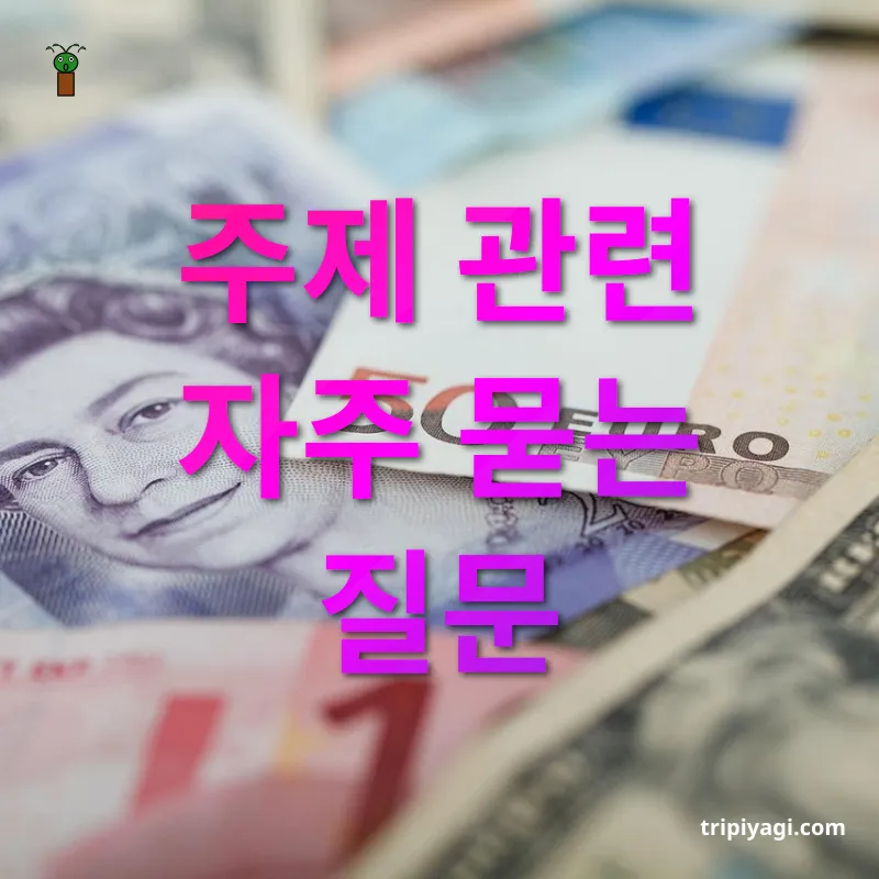 남은 외화 활용법 주제 관련 자주 묻는 질문 관련 이미지