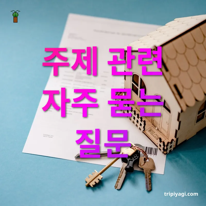 여행자 보험 주제 관련 자주 묻는 질문 관련 이미지