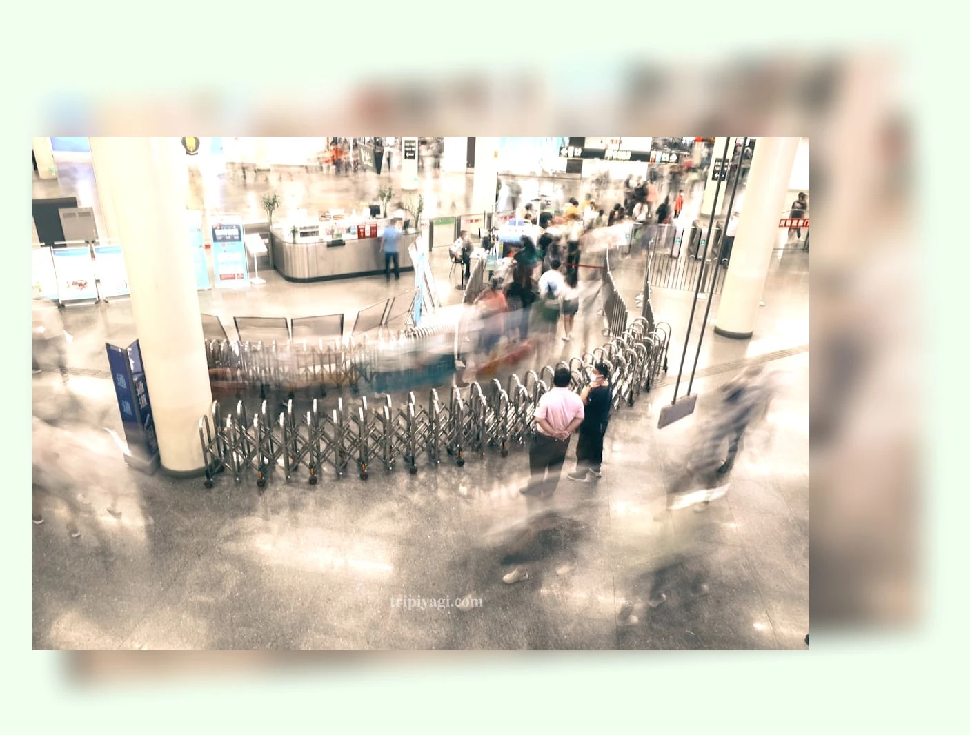 공항 면세점 쇼핑 인터넷 면세점 vs. 공항 면세점, 어떤 차이가 있을까? 관련 이미지