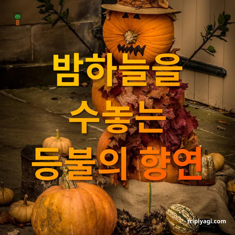 이색축제 - 밤하늘을 수놓는 등불의 향연 이색축제 밤하늘을 수놓는 등불의 향연 관련 이미지