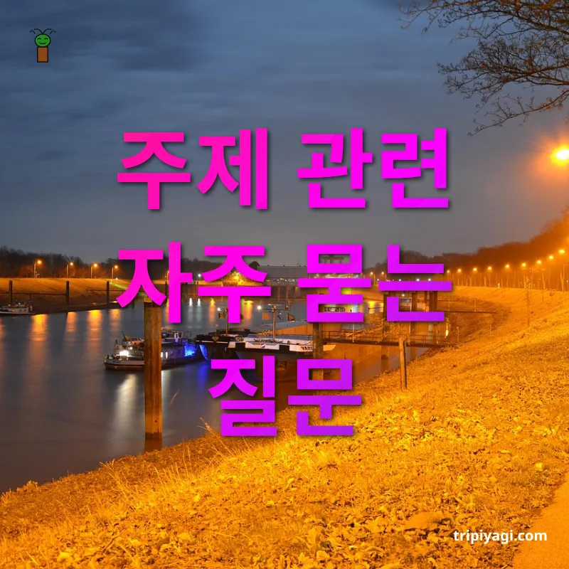 장기 여행 짐싸기 주제 관련 자주 묻는 질문 관련 이미지